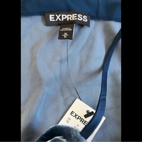 ✨ HP ✨ Velvet ✨ Plunge Bodysuit ✨ - Picture 8 of 8